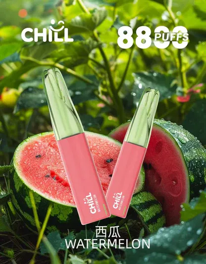 001-01 CHILL鴨嘴獸拋棄式電子煙 8800口|12W強勁輸出 3%濃度 大煙霧層次口感 台灣現貨