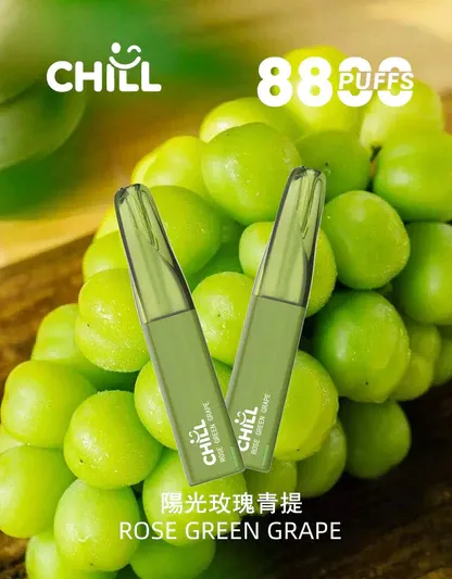 001-06 CHILL鴨嘴獸拋棄式電子煙 8800口|12W強勁輸出 3%濃度 大煙霧層次口感 台灣現貨