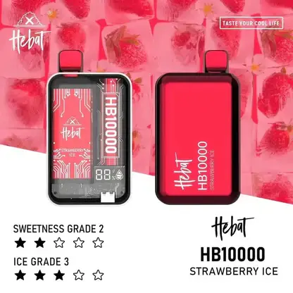 Hebat 喜貝10000拋棄式電子煙｜數位螢幕顯示 Mesh芯霧化系統 Type-C快充 12W輸出設計 台灣現貨