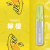 Mist X 鴨嘴獸6500口拋棄式電子煙｜冰爽水果風味 可充電設計 台灣現貨