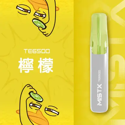 Mist X 鴨嘴獸6500口拋棄式電子煙｜冰爽水果風味 可充電設計 台灣現貨