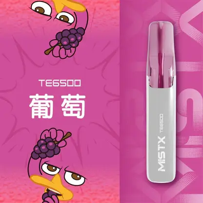 Mist X 鴨嘴獸6500口拋棄式電子煙｜冰爽水果風味 可充電設計 台灣現貨