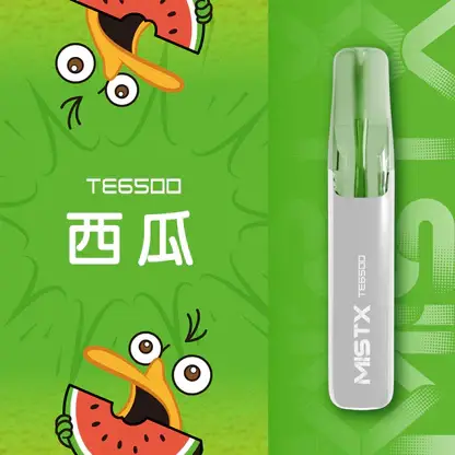 Mist X 鴨嘴獸6500口拋棄式電子煙｜冰爽水果風味 可充電設計 台灣現貨