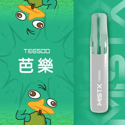 Mist X 鴨嘴獸6500口拋棄式電子煙｜冰爽水果風味 可充電設計 台灣現貨
