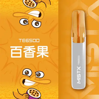 Mist X 鴨嘴獸6500口拋棄式電子煙｜冰爽水果風味 可充電設計 台灣現貨