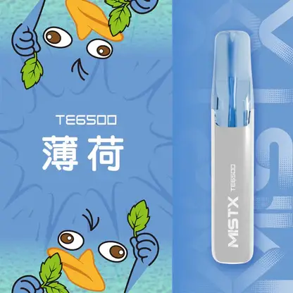 Mist X 鴨嘴獸6500口拋棄式電子煙｜冰爽水果風味 可充電設計 台灣現貨